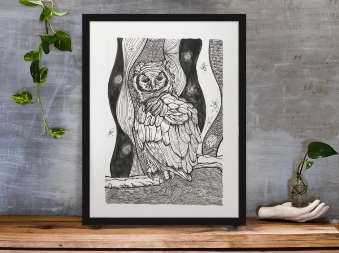 OWL PRINT 1/100 African Milky Owl