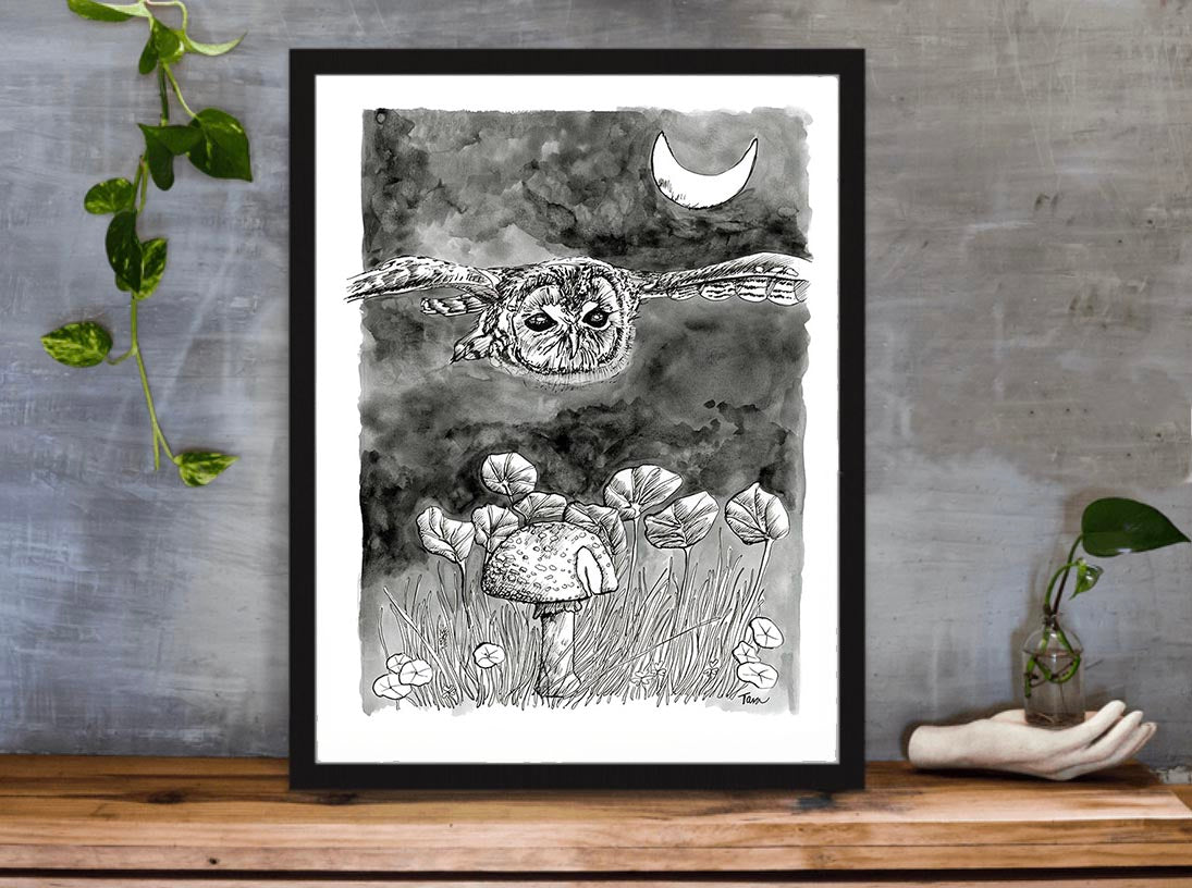 Owl PRINT 3/100 Tawny Owl In First Flight