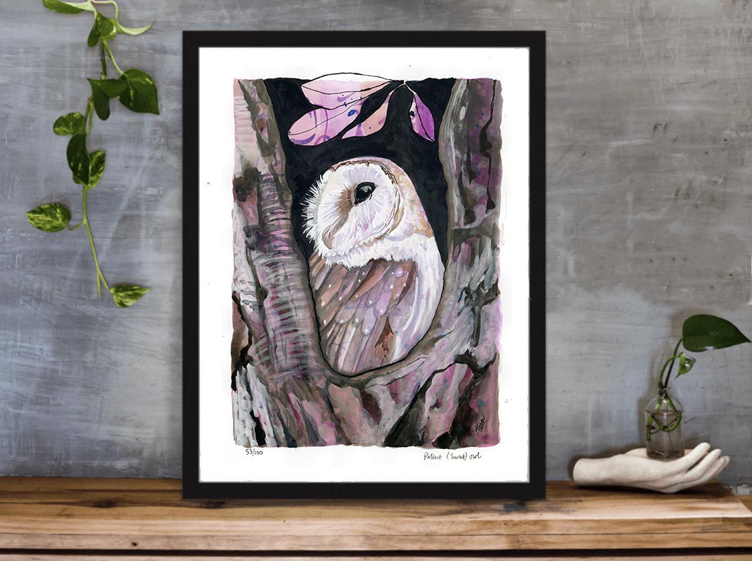 53/100 Patient ‘Sweet’ Owl