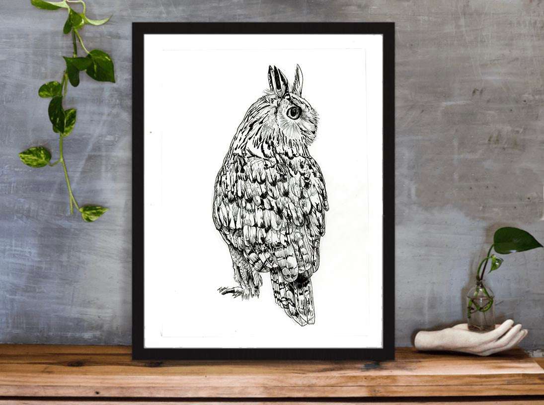 96/100 Siberian Eagle Owl