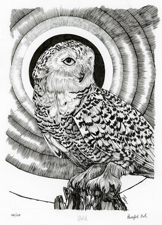 100/100 Powerful Owl