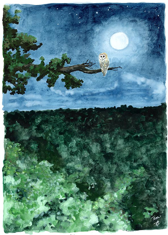 16/100 Moonlit Barn Owl