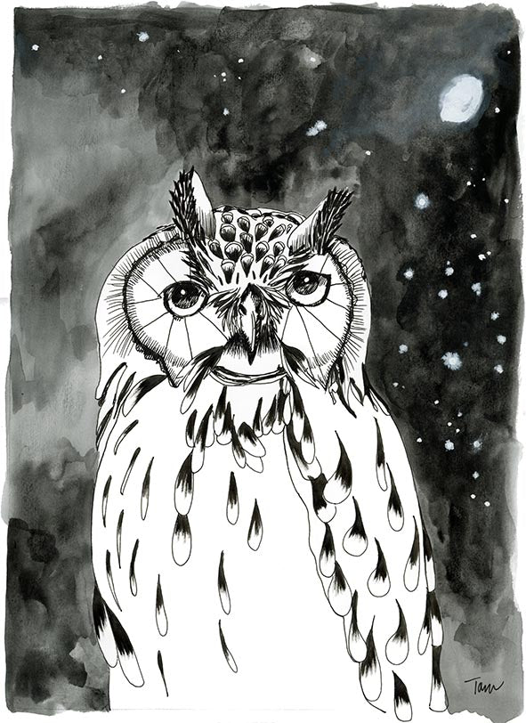 19/100 Geo Owl