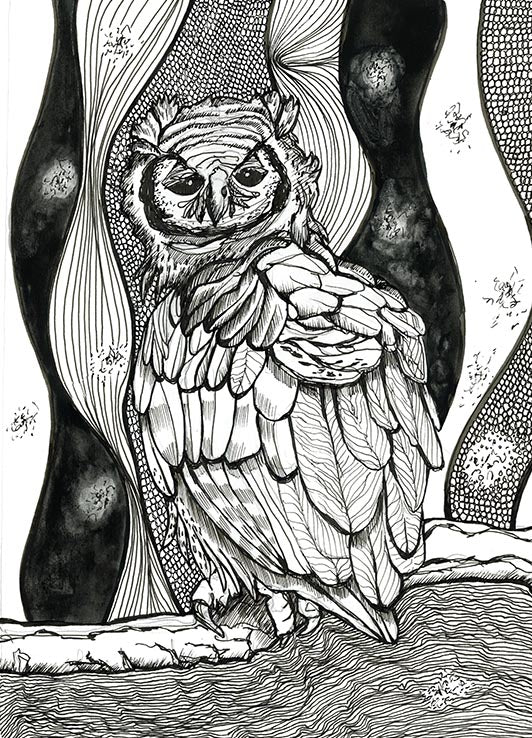 OWL PRINT 1/100 African Milky Owl