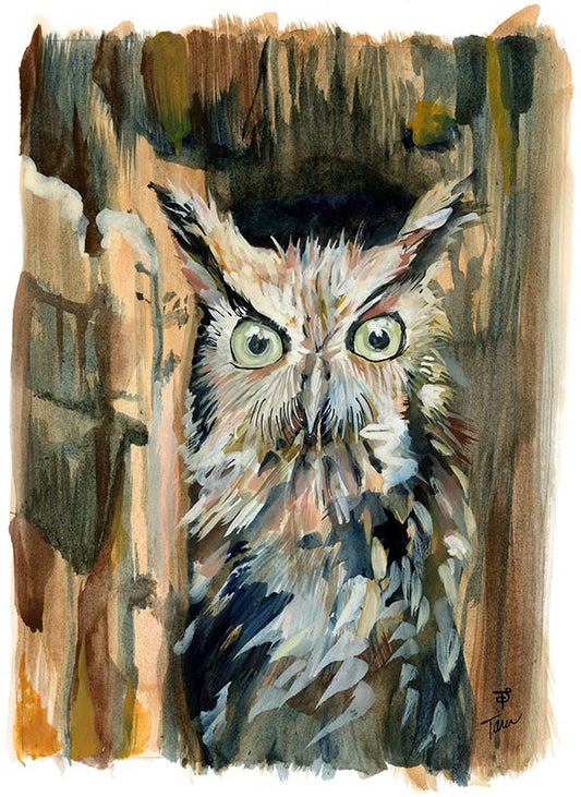 22/100 Surprised Owl