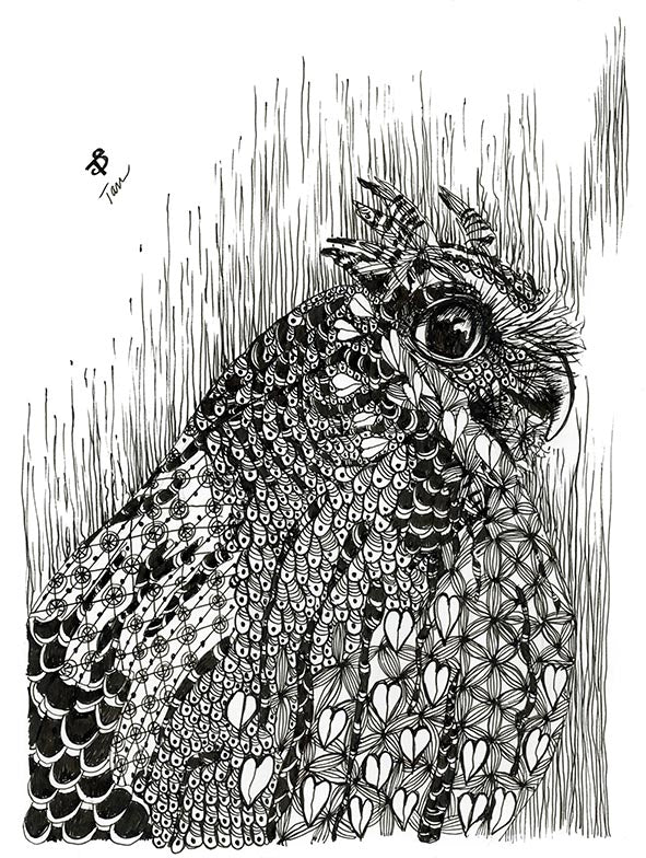 OWL PRINT 27/100 Pattern Owl