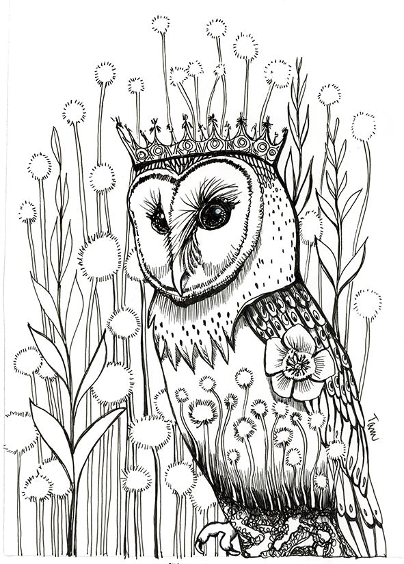 40/100 Regal Owl