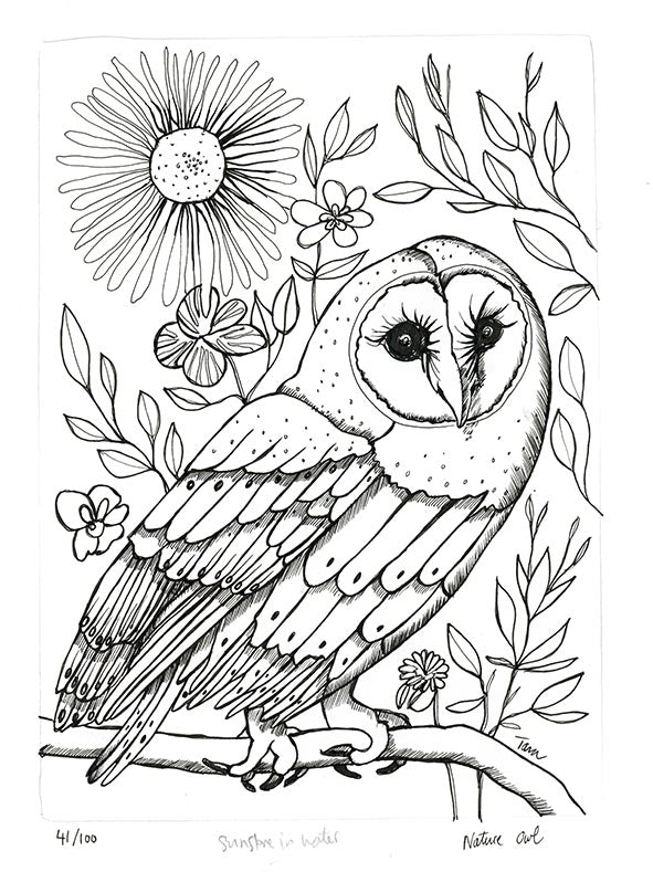 41/100 Nature Owl