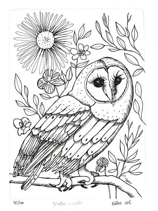 41/100 Nature Owl