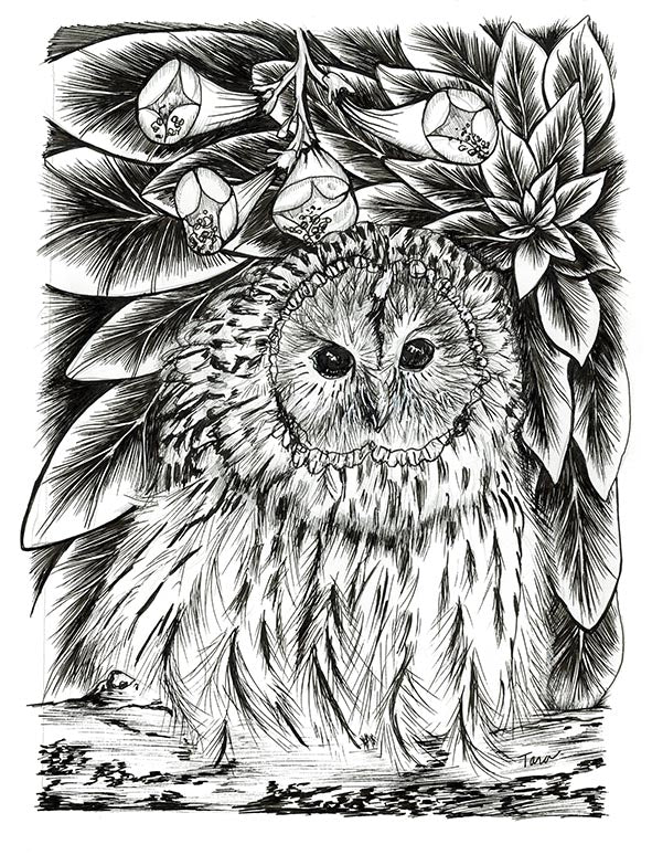 4/100 Baby Owl In The Bushes