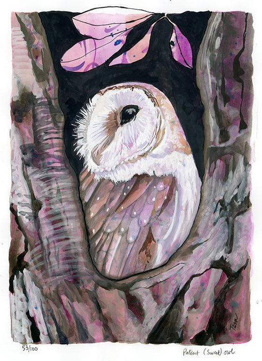 OWL PRINT 53/100 Patient (sweet) Owl