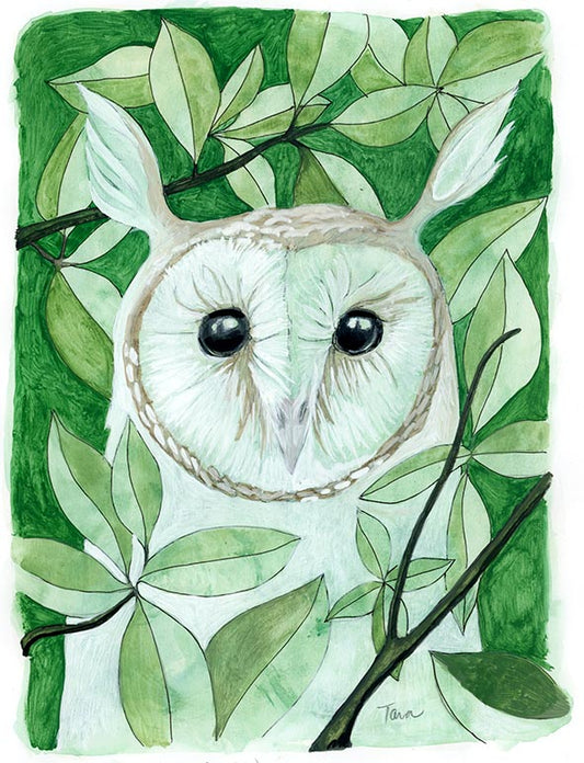 60/100 Shrek Owl