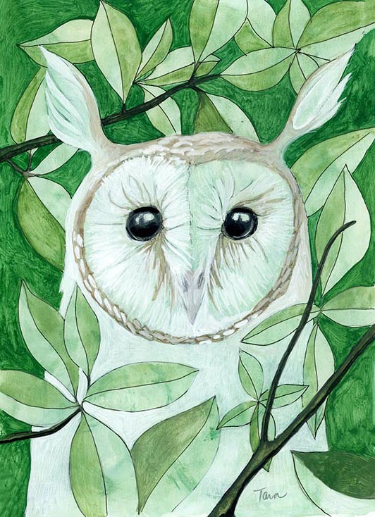 OWL PRINT 60/100 Shrek Owl