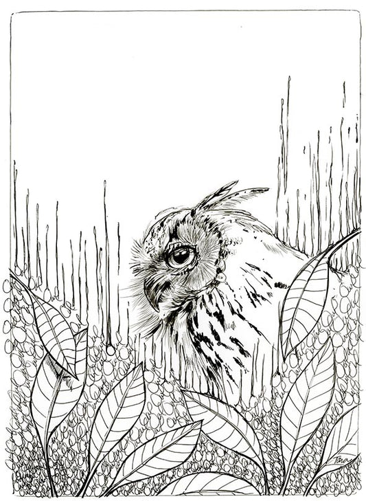 65/100 Owl Owl