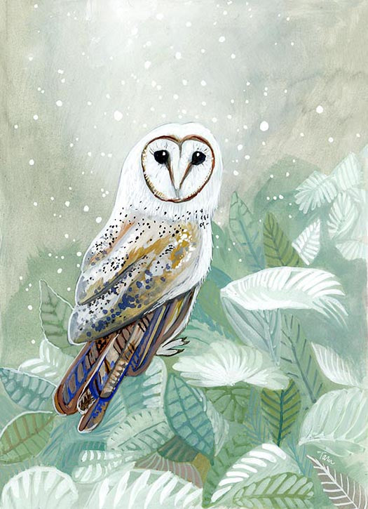 OWL PRINT 86/100 Sage snow Owl