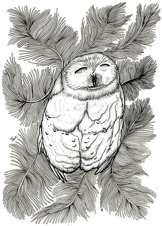 OWL PRINT 91/100 Content Owl