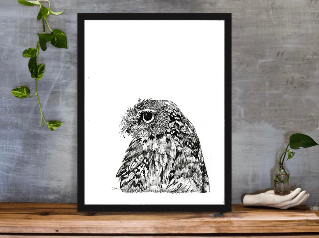 OWL PRINT 92/100 Little owl (Black and White)