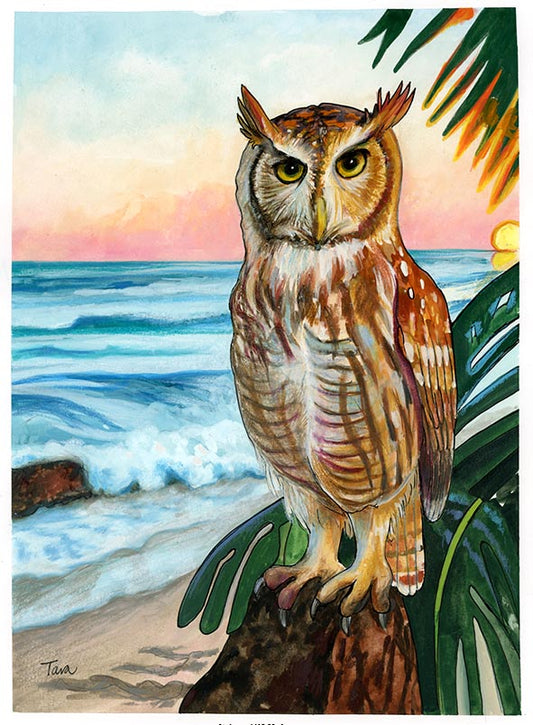 OWL Print 93/100 Beach Owl