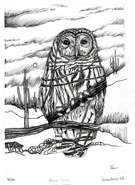 95/100 Sonoran Barred Owl