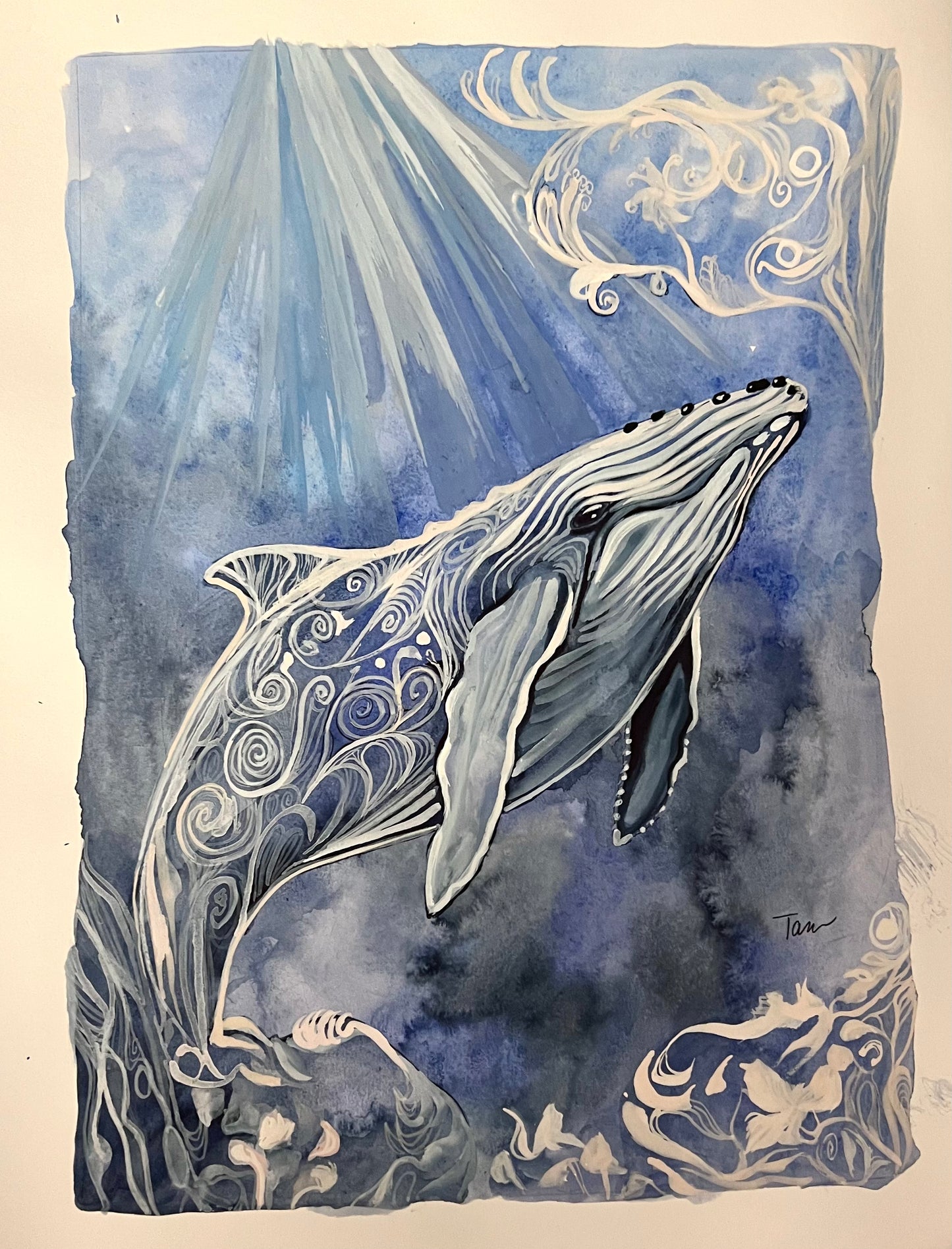 Whale Dreaming