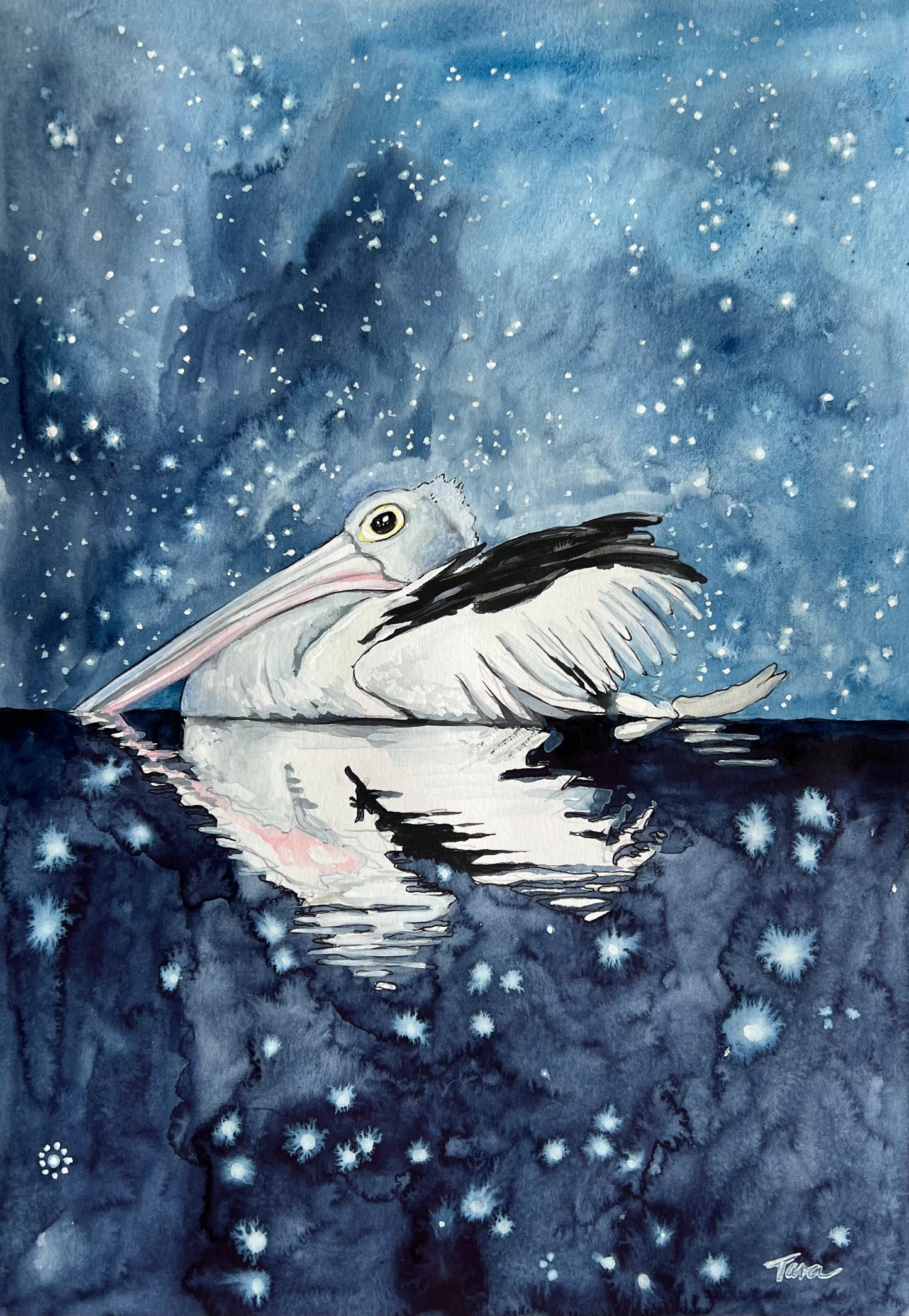 Starry Pelican