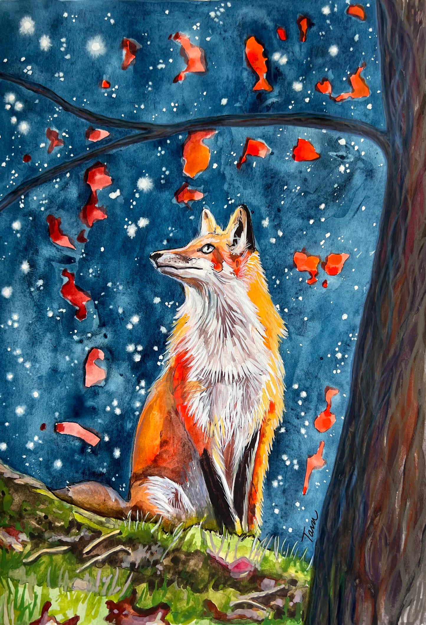 Maple Fox Print