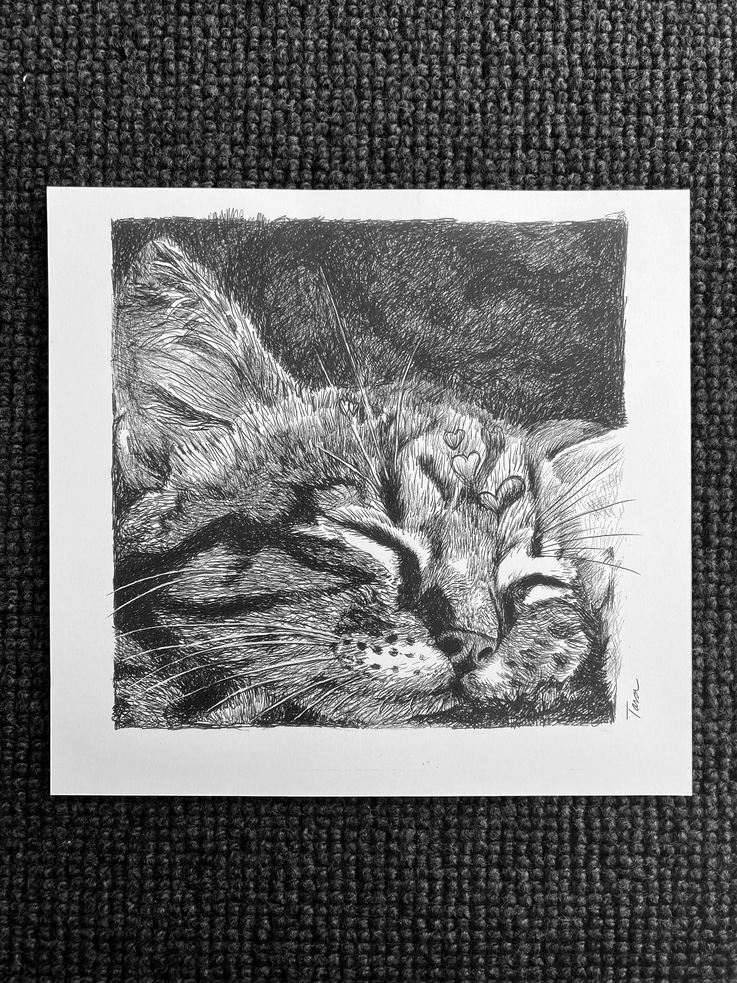 Black and White Print Cozy Cat