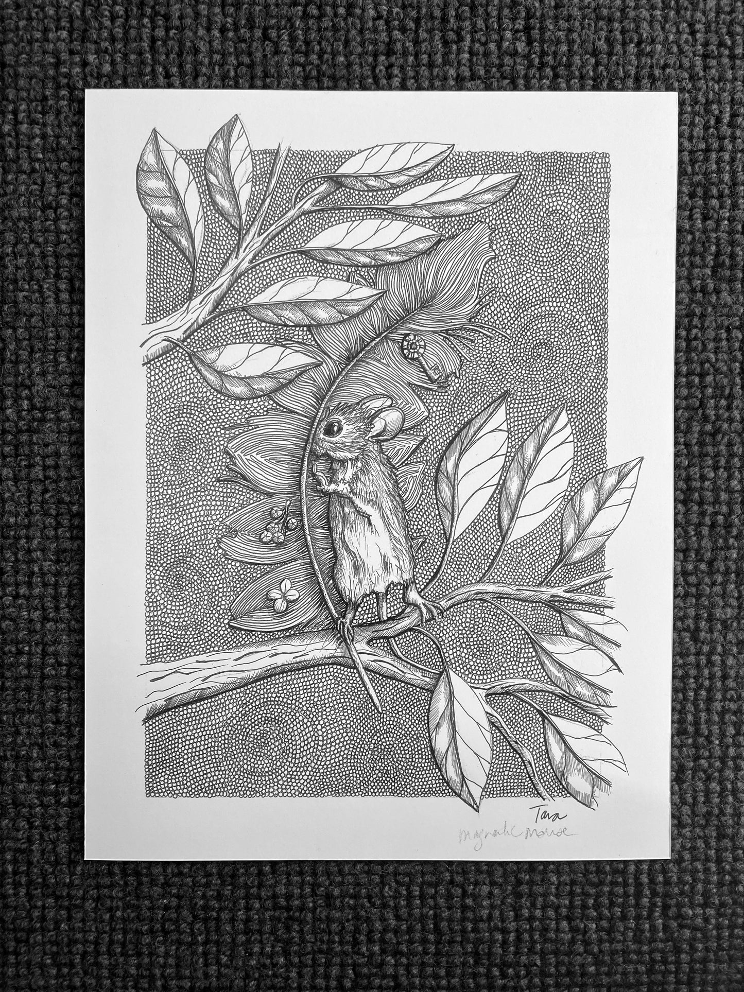 Black and White Print Little Mouse Peek-a-Boo