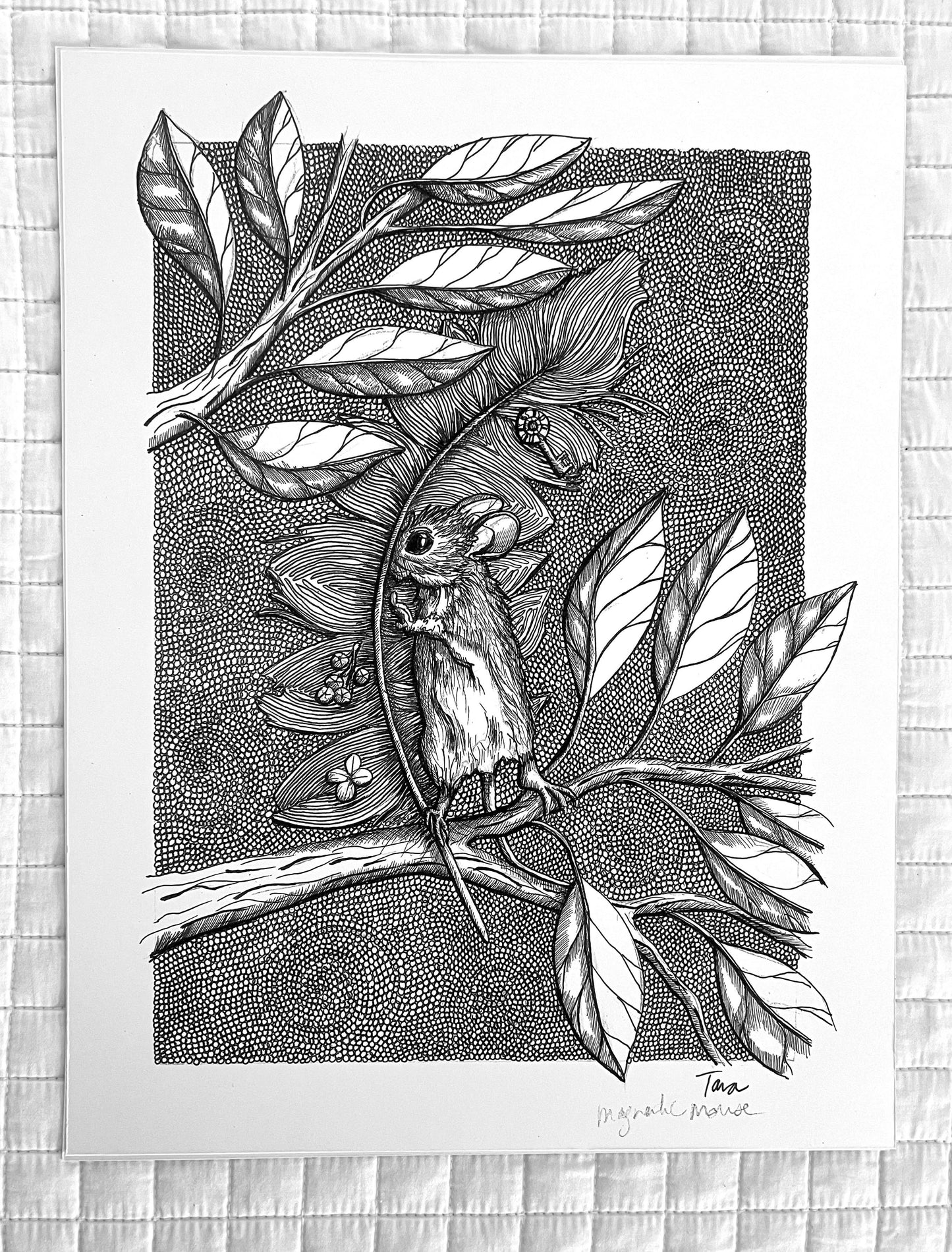 Black and White Print Little Mouse Peek-a-Boo