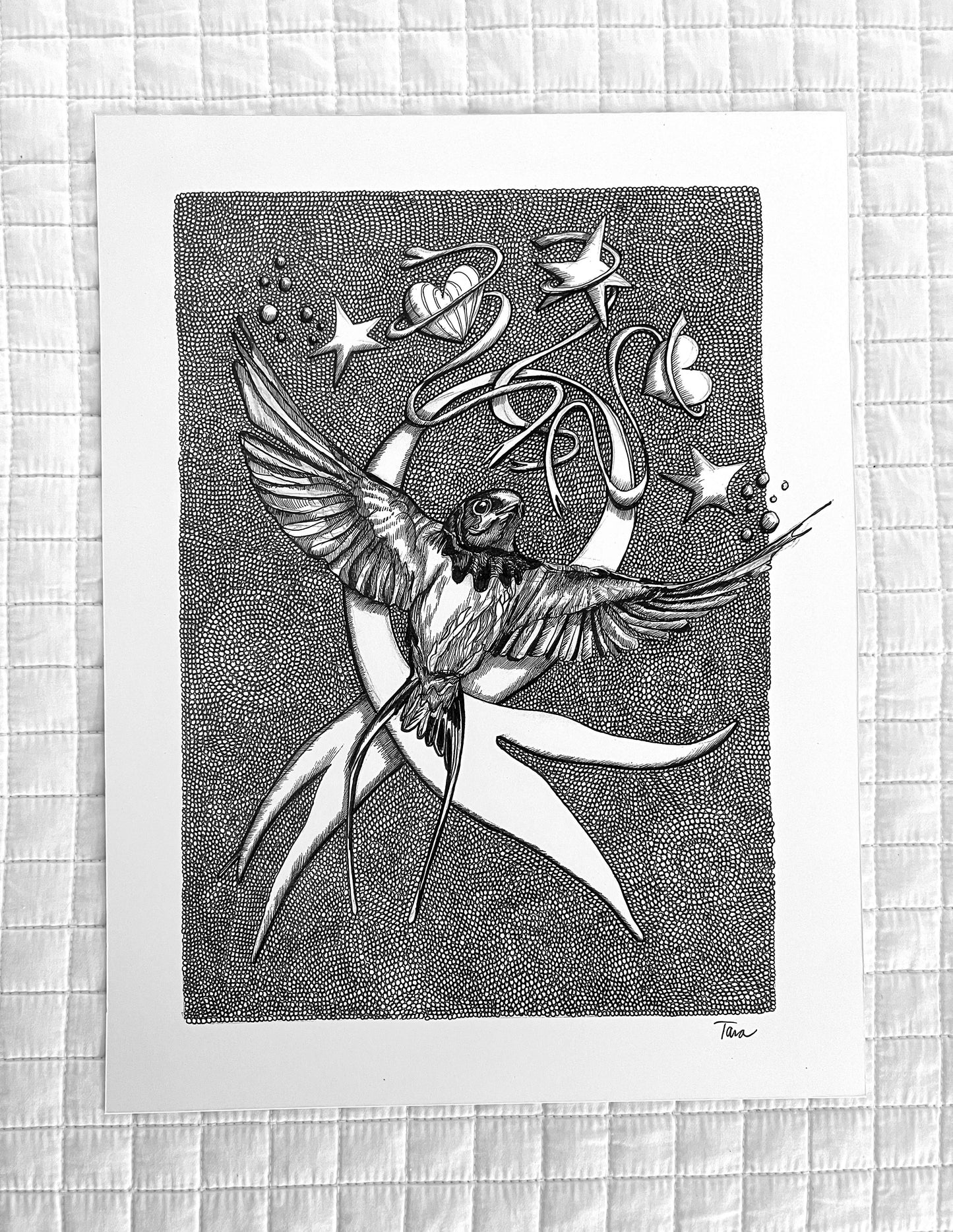 Black and White Print Swallow